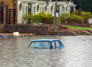 التنين يودي بحياة 20 شخصا في مصر 