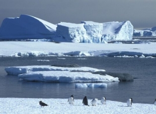 كم سيرتفع منسوب مياه المحيطات نتيجة ذوبان جليد القارة القطبية الجنوبية؟