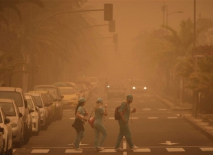 10 فوائد غير متوقعة لـ العواصف الترابية.. تعزيز المناعة أبرزها