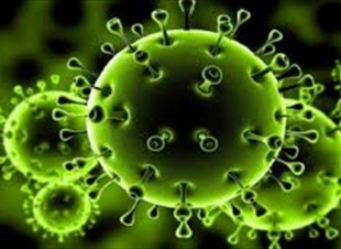 بعد النتائج 