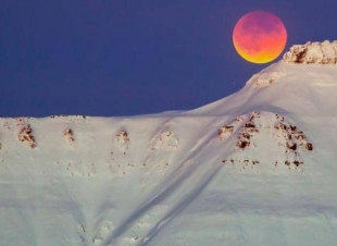   يوسف مبارك كاتب بحريني ,,, سطوة السياسة على الأرشيف الغذائي للبشرية