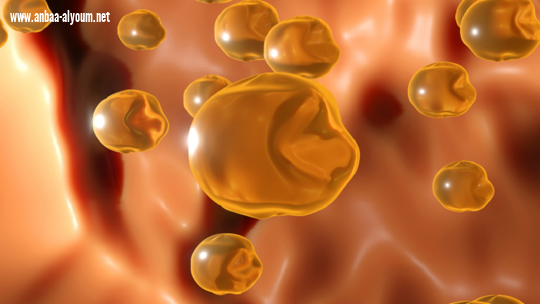 أسوأ أنواع الأطعمة المسببة لزيادة الكوليسترول!