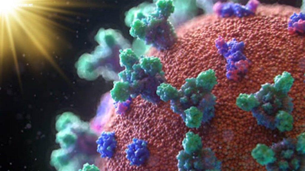 استاذة علوم بيولوجية: ارتفاع درجات الحرارة سيقلل نشاط كورونا