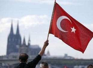 سوائل المخللات 