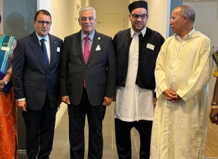 رئيس بعثة جمهورية العراق في الدنمارك يشارك في احتفالية يوم افريقيا  .