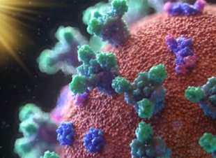 استاذة علوم بيولوجية: ارتفاع درجات الحرارة سيقلل نشاط كورونا